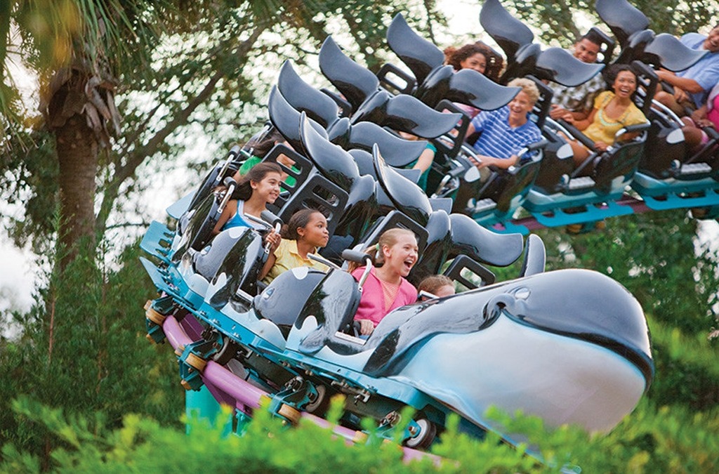 What Are the Most Underrated Attractions at SeaWorld® Orlando?