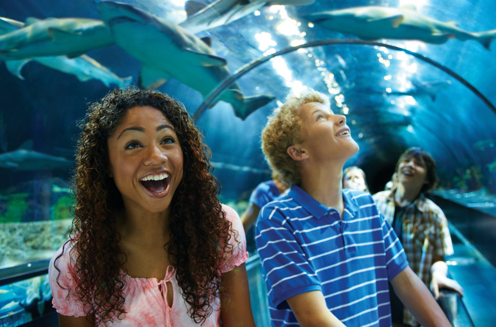 What Is the Least Expensive Way to Purchase SeaWorld Orlando Tickets?