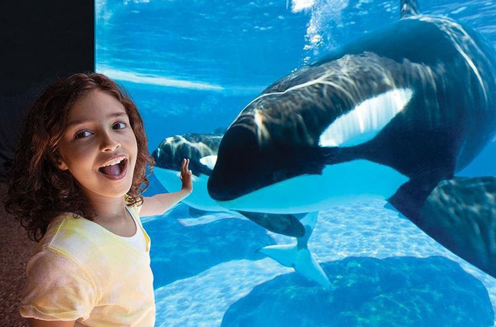SeaWorld® Orlando Discount Ticket Options and Prices